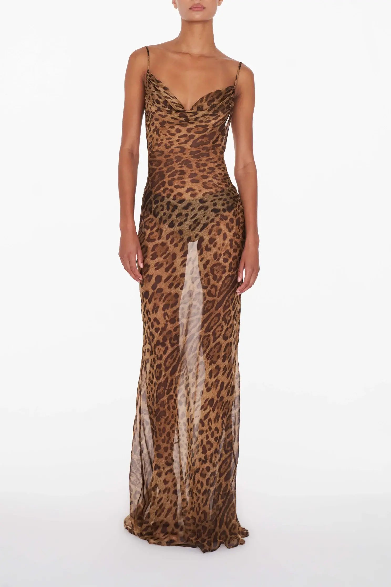 Emlyn | Sheer Maxi Dress