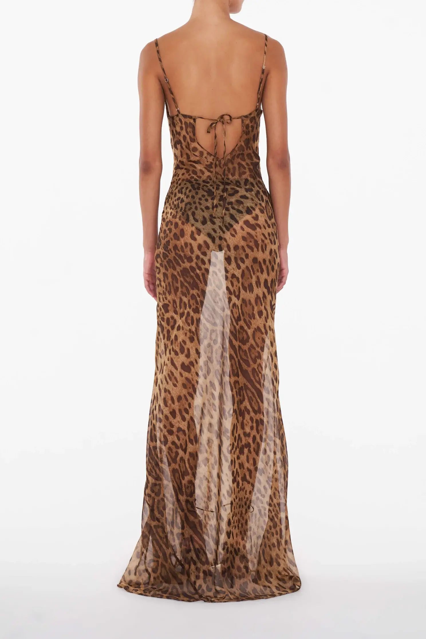 Emlyn | Sheer Maxi Dress